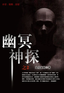 Netherworld Detective 2