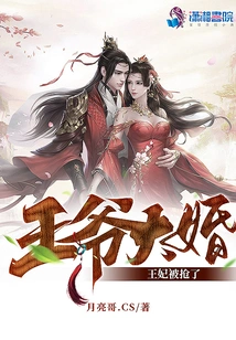 The Prince Got Married and the Princess Was Robbed