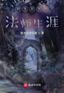 The Career of a Mage Reincarnated into Another World