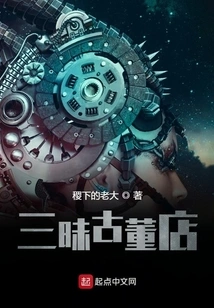 Samadhi Antique Shop