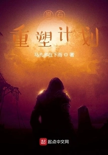 Original Stone Reconstruction Plan