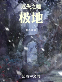 Lost Eye: Polar Region