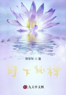 Fox Zen under the Moon