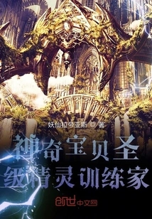 Pokémon Holy Level Elf Trainer