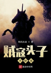 It's Not Easy to Be the Leader of Thieves and Bandits