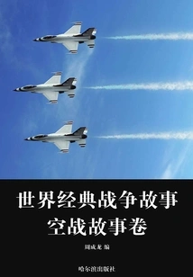 Air Combat Stories Volume (world Classic War Stories)