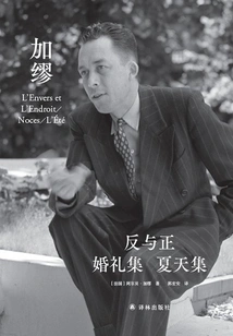 Negative and Positive·wedding Collection·summer Collection (collected Works of Camus Translated by Guo Hongan)