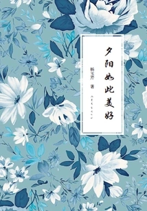 The Sunset is so Beautiful