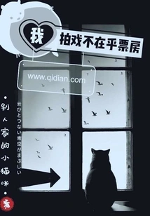 When I Film, I Don't Care About the Box Office