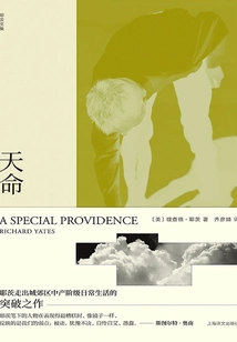 Destiny (collected Works of Richard Yates)