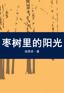 Sunshine in the Jujube Tree