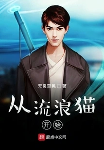 Start with Stray Cats