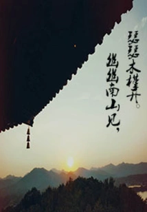 See the Hibiscus Blooming in Nanshan Mountain