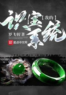 My Treasure Recognition System