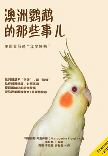 Things About Lorikeets