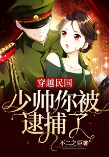 Traveling Through the Republic of China: Marshal, You Have Been Arrested