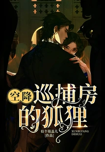 The Fox in the Airborne Patrol Room