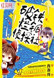 Broken Metal Detective Agency