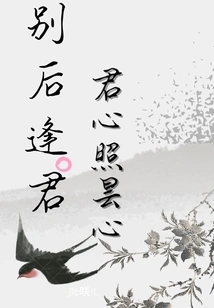 I Meet You after Farewell, Your Heart Shines Upon My Heart