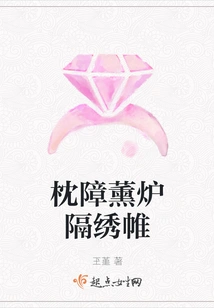 Pillow Barrier Fumigation Furnace Partition Embroidered Curtain