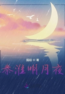 Qinhuai Moonlight Night