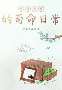 Daily Life in the Secret Service