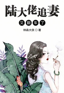 Mr. Lu's Pursuit of His Wife Overturned Again