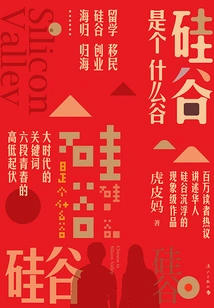 What is Silicon Valley?