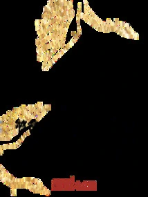 Title: Full-time Mage, I, Black Dragon Sky, Come to the World