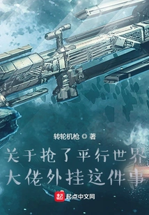 About Snatching the Plug-in from the Boss of the Parallel World