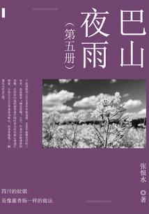 Bashan Night Rain (5)