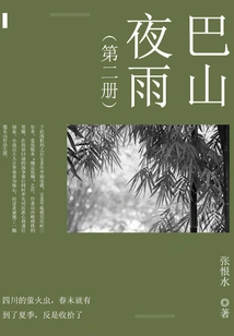 Bashan Night Rain (2)