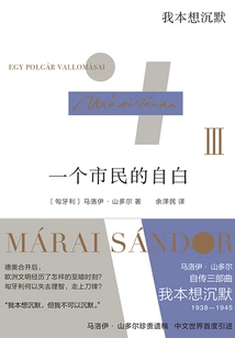 Confessions of a Citizen 3: I Wanted to Be Silent