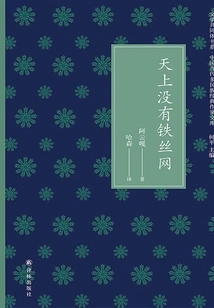 There is No Barbed Wire in the Sky