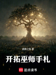 Pioneering Wizard's Codex