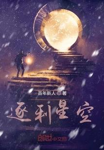 Chasing the Profit Starry Sky