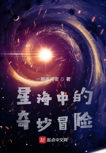 A Wonderful Adventure in the Sea of stars