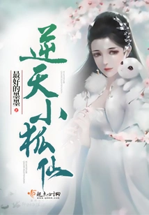 The Heaven-defying Little Fox Fairy