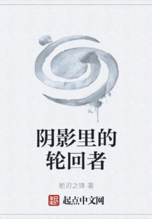 Reincarnator in the Shadows