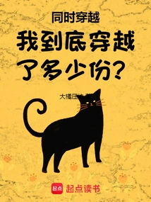 Time Travel at the Same Time: How Many Times Have I Traveled Through Time?