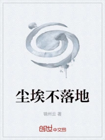 The Dust Never Falls to the Ground