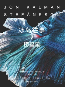 Once Upon a Time in Iceland 2: Catching for Stars