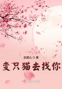 Turn into a Cat and Find You