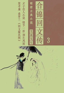 Classical Novels of the Ming and Qing Dynasties: Hejin Palindrome (3)