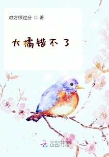 You Can't Go Wrong with Big Orange