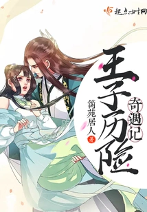 The Adventures of Prince