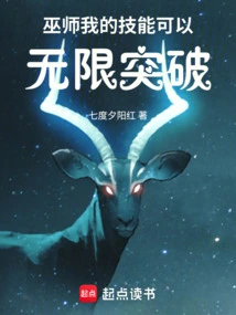 Wizard: My Skills Can Make Unlimited Breakthroughs