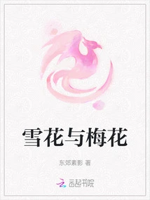 Snowflakes and Plum Blossoms