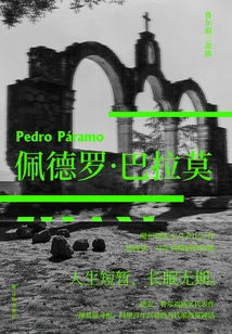 Pedro Parramo (rulfo Trilogy)