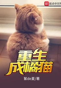 Reborn as an Orange Cat